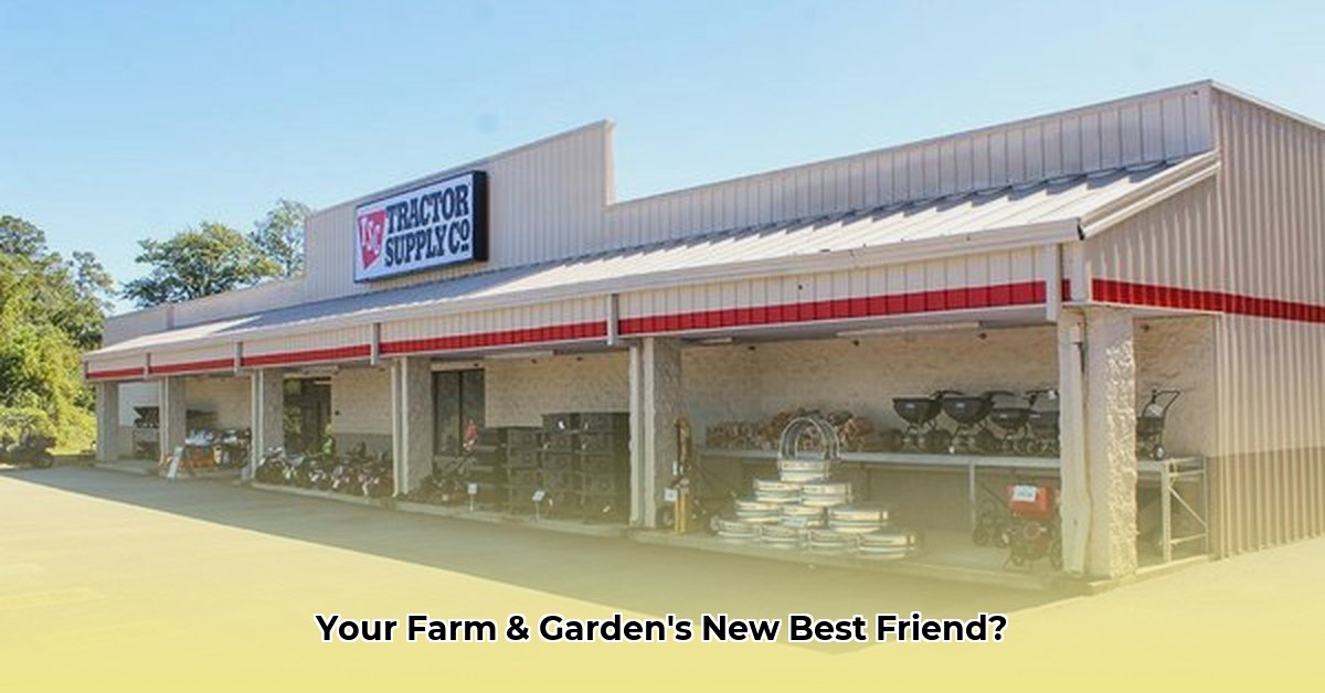 tractor-supply-batesburg-leesville-south-carolina